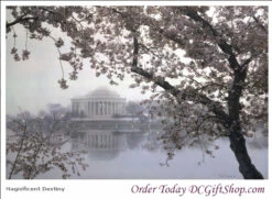 Magnificent Destiny By Rod Chase