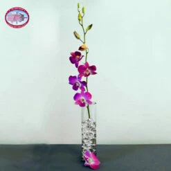 Single Purple Dendrobium Orchid With Vase
