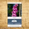 American Foxglove Heirloom Seeds - 3 Pack