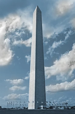 Washington's Brilliance By Luke Wilbur